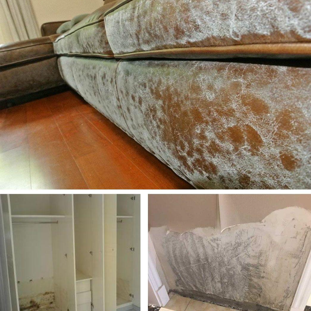 家具和墙面受潮发霉